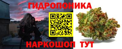 jwh Нальчик