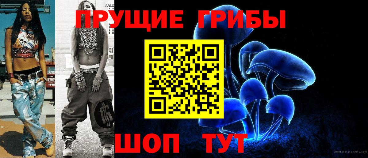 Псилоцибиновые грибы Psilocybe Туймазы